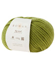 Big Wool 20ply - - Beechworth Emporium