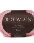 Big Wool 20ply - - Beechworth Emporium