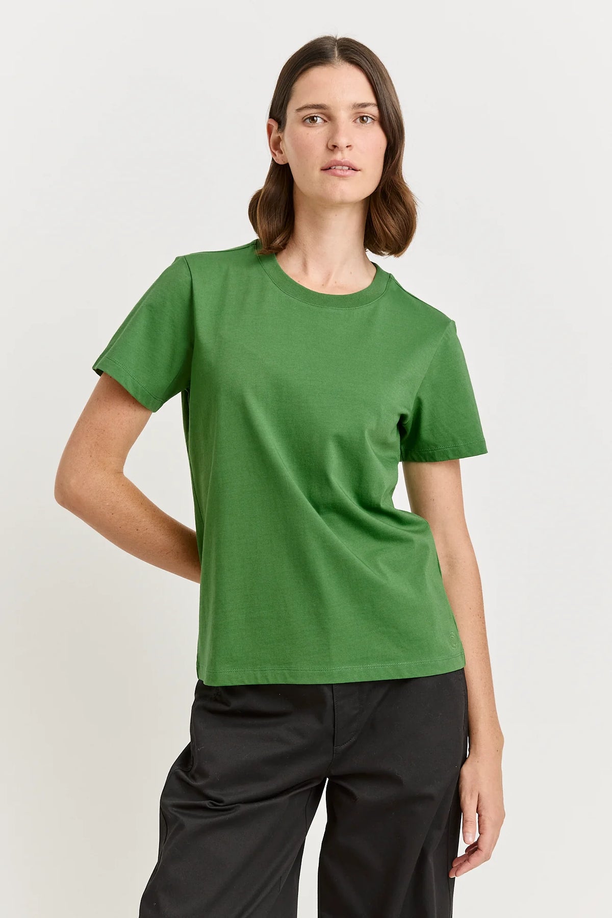 Classic Tee Organic Cotton | Spring