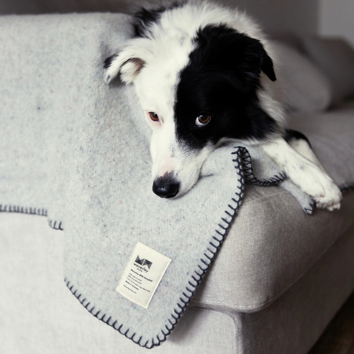 Large Recycled Wool Pet Blanket | Charcoal