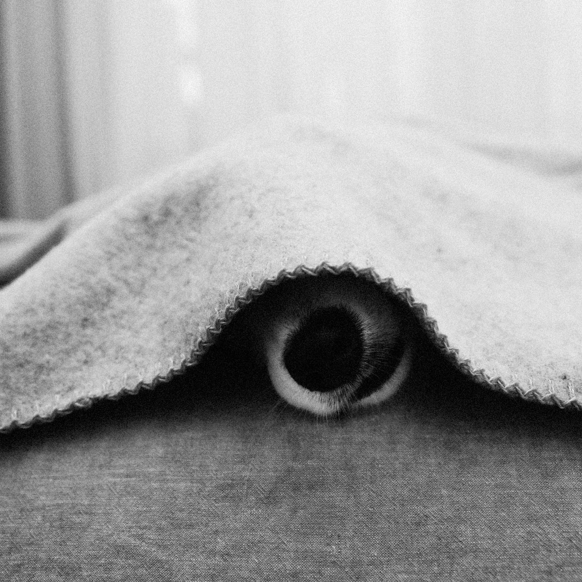 Large Recycled Wool Pet Blanket | Charcoal