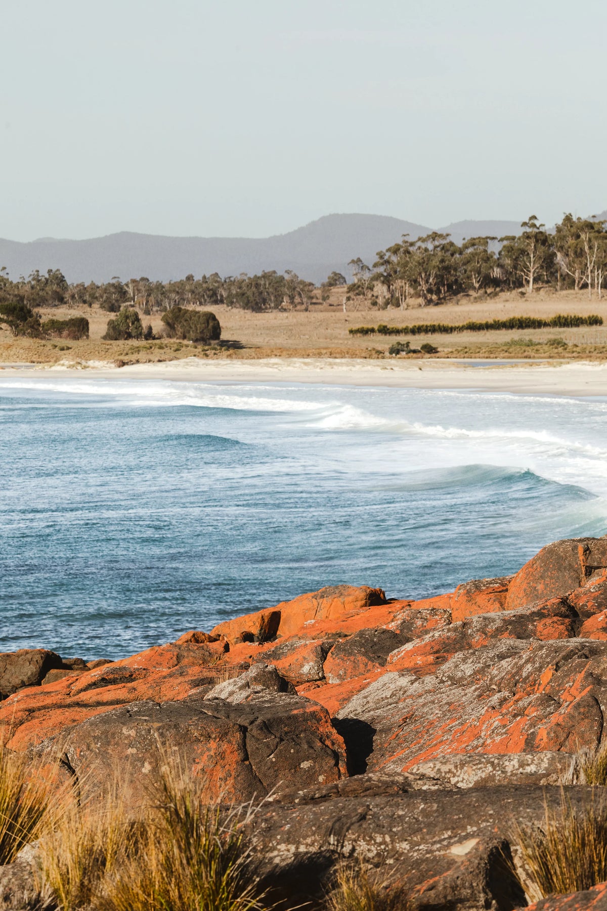 Terrain Throw | Bay of Fires